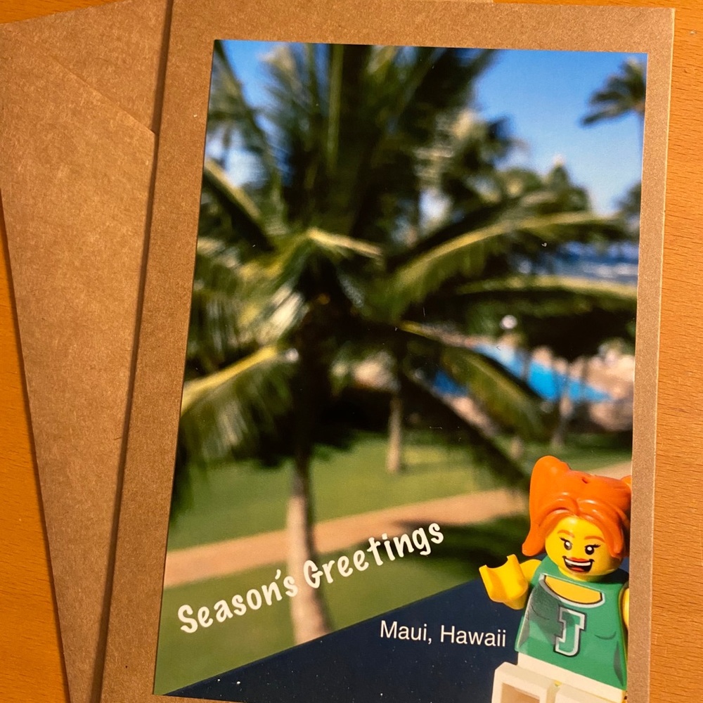 Set of 6 cards - Season’s Greetings and Thank you - Picture 1 of 4